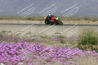 media/Feb-04-2023-SoCal Trackdays (Sat) [[8a776bf2c3]]/Turn 15 Inside Blooming (1050am)/